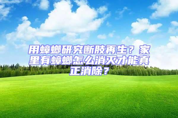 用蟑螂研究斷肢再生？家里有蟑螂怎么消滅才能真正消除？