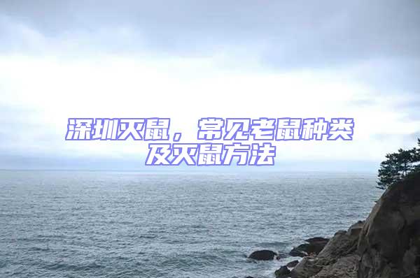 深圳滅鼠,常見老鼠種類及滅鼠方法
