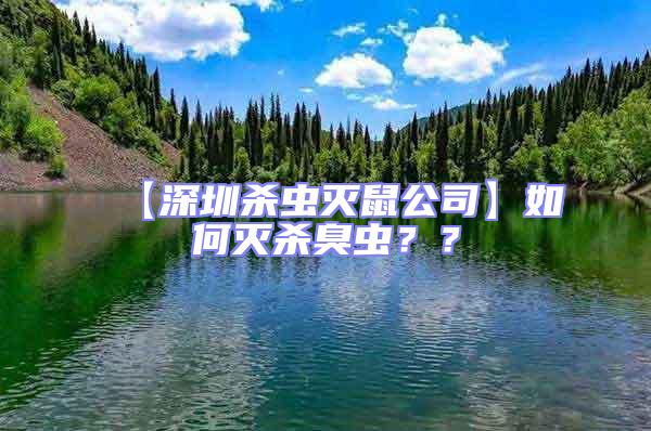 【深圳殺蟲(chóng)滅鼠公司】如何滅殺臭蟲(chóng)??