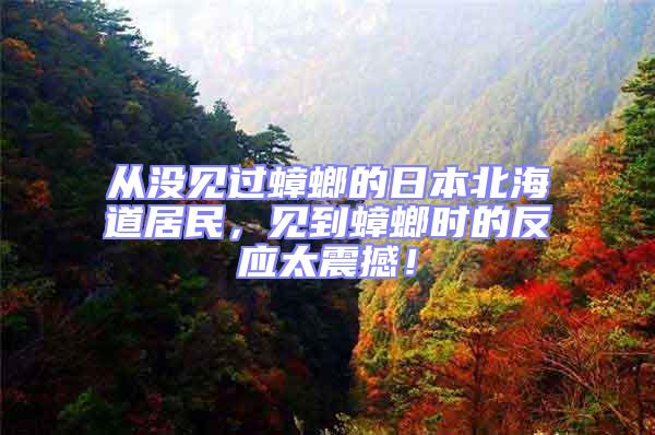 從沒(méi)見(jiàn)過(guò)蟑螂的日本北海道居民,見(jiàn)到蟑螂時(shí)的反應(yīng)太震撼!