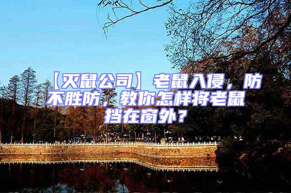 【滅鼠公司】老鼠入侵，防不勝防，教你怎樣將老鼠擋在窗外？