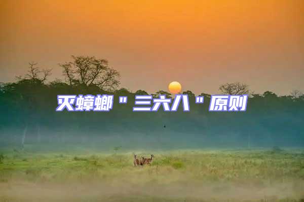 滅蟑螂＂三六八＂原則