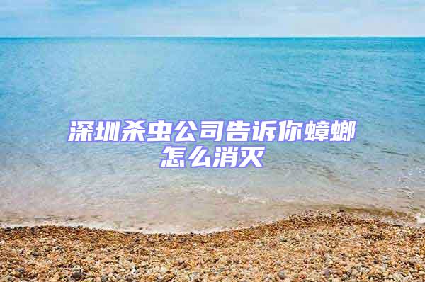 深圳殺蟲(chóng)公司告訴你蟑螂怎么消滅