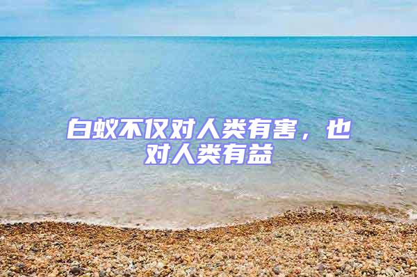 白蟻不僅對(duì)人類有害,也對(duì)人類有益