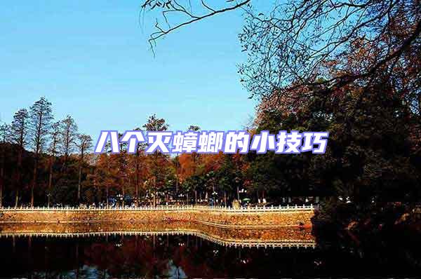 八個(gè)滅蟑螂的小技巧