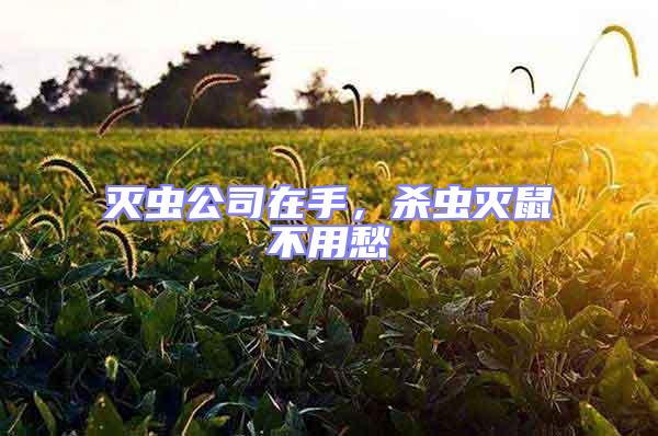 滅蟲公司在手,殺蟲滅鼠不用愁