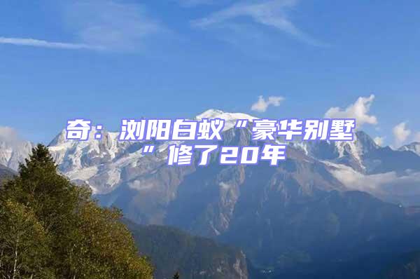 奇:瀏陽白蟻“豪華別墅”修了20年