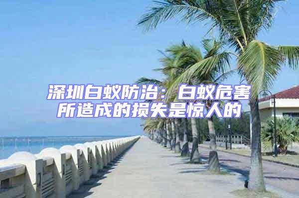 深圳白蟻防治:白蟻危害所造成的損失是驚人的