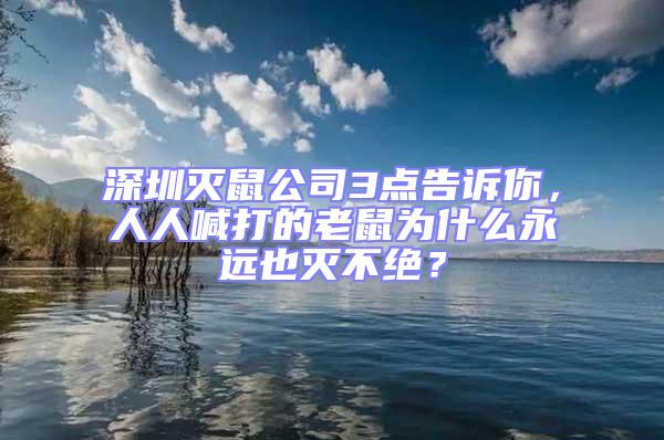 深圳滅鼠公司3點告訴你,人人喊打的老鼠為什么永遠也滅不絕?
