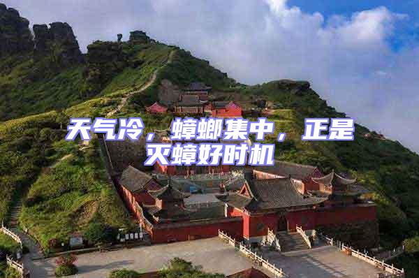 天氣冷，蟑螂集中，正是滅蟑好時機