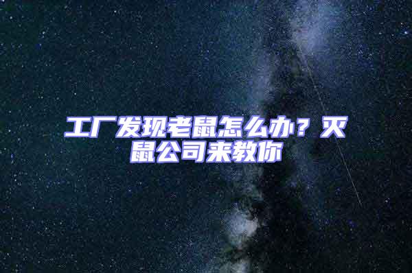 工廠發(fā)現(xiàn)老鼠怎么辦？滅鼠公司來教你