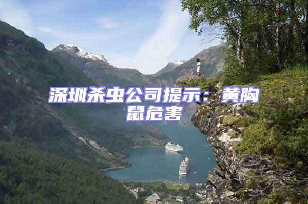 深圳殺蟲(chóng)公司提示:黃胸鼠危害