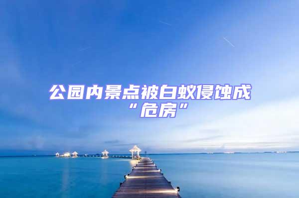 公園內景點被白蟻侵蝕成“危房”