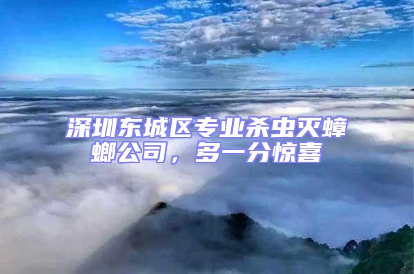 深圳東城區專業殺蟲滅蟑螂公司,多一分驚喜