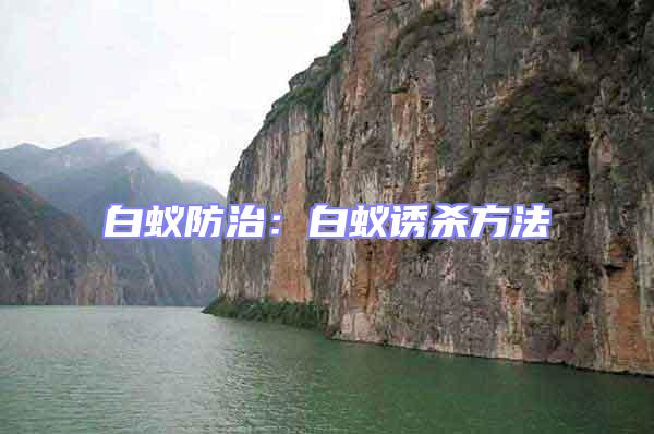 白蟻防治:白蟻誘殺方法