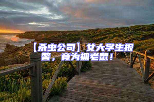 【殺蟲公司】女大學(xué)生報(bào)警，竟為抓老鼠！