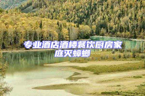 專業酒店酒樓餐飲廚房家庭滅蟑螂