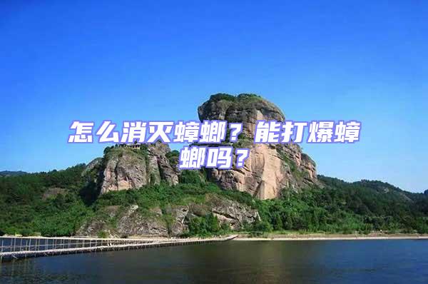 怎么消滅蟑螂？能打爆蟑螂嗎？