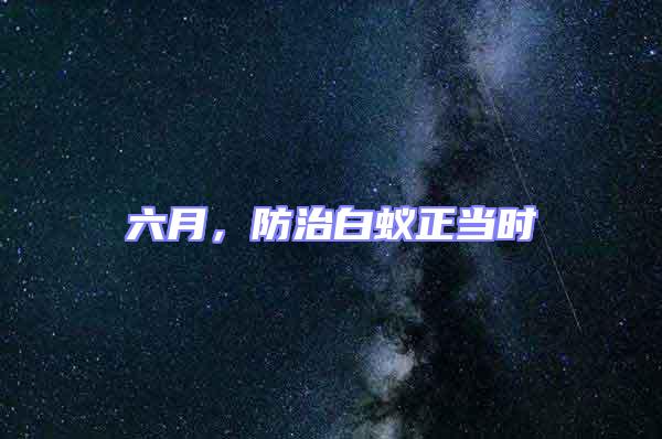 六月,防治白蟻正當(dāng)時(shí)