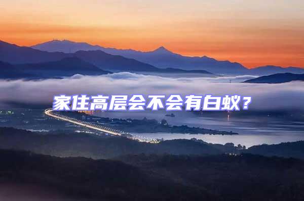 家住高層會不會有白蟻？