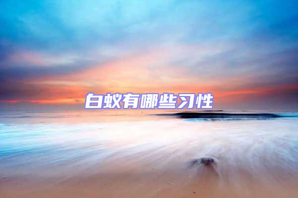 白蟻有哪些習(xí)性