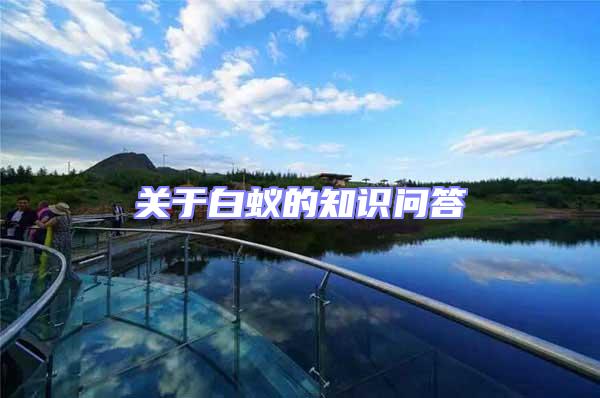 關于白蟻的知識問答