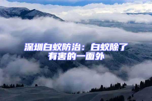 深圳白蟻防治:白蟻除了有害的一面外