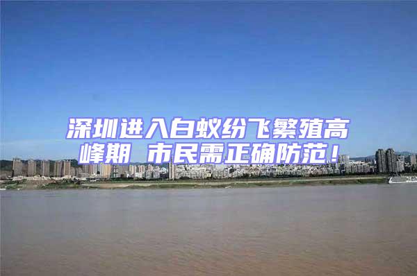 深圳進入白蟻紛飛繁殖高峰期 市民需正確防范!