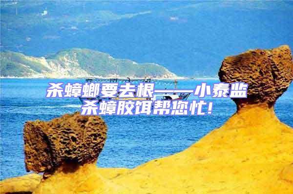 殺蟑螂要去根——小泰監殺蟑膠餌幫您忙!