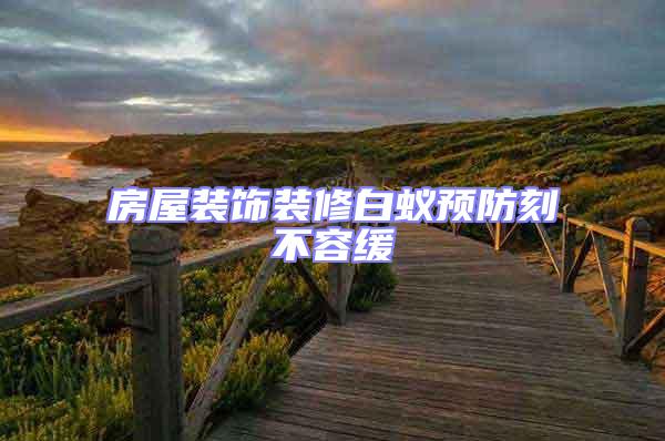 房屋裝飾裝修白蟻預防刻不容緩