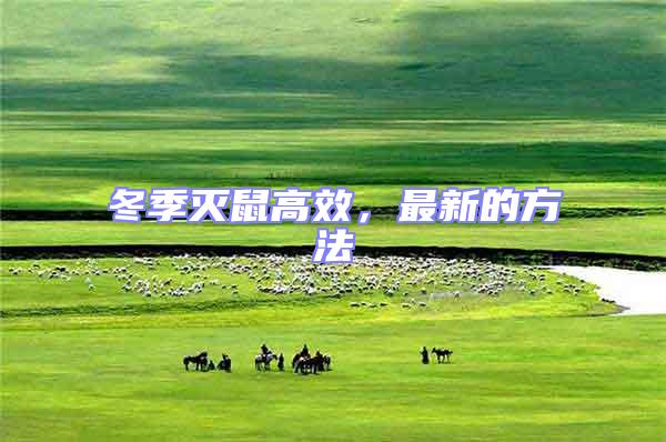 冬季滅鼠高效,最新的方法