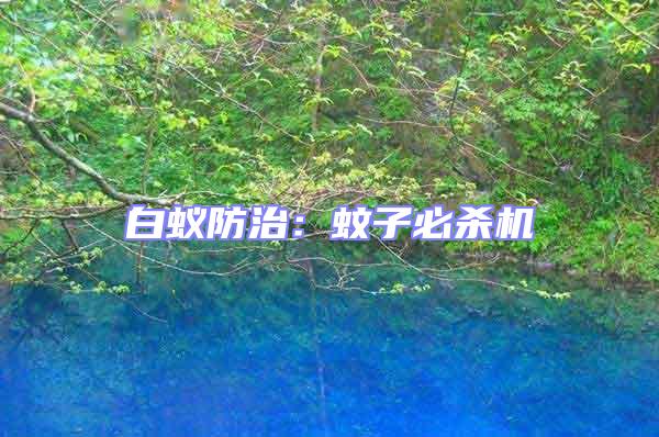 白蟻防治:蚊子必殺機(jī)