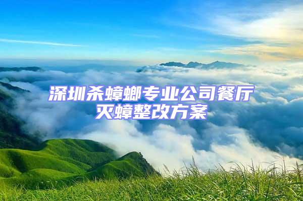深圳殺蟑螂專業(yè)公司餐廳滅蟑整改方案
