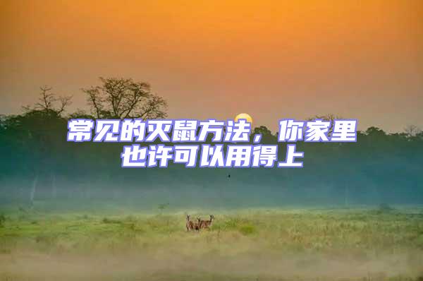 常見的滅鼠方法,你家里也許可以用得上