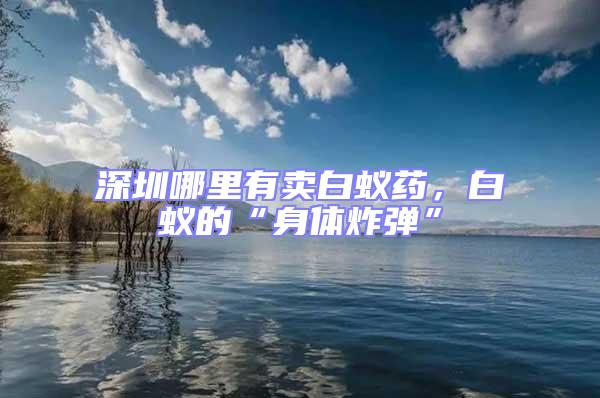 深圳哪里有賣白蟻藥,白蟻的“身體炸彈”