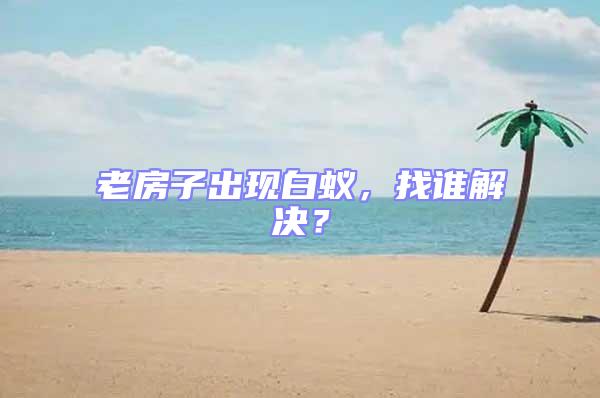 老房子出現(xiàn)白蟻,找誰解決?