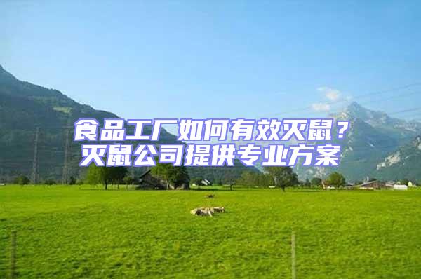 食品工廠如何有效滅鼠?滅鼠公司提供專業方案