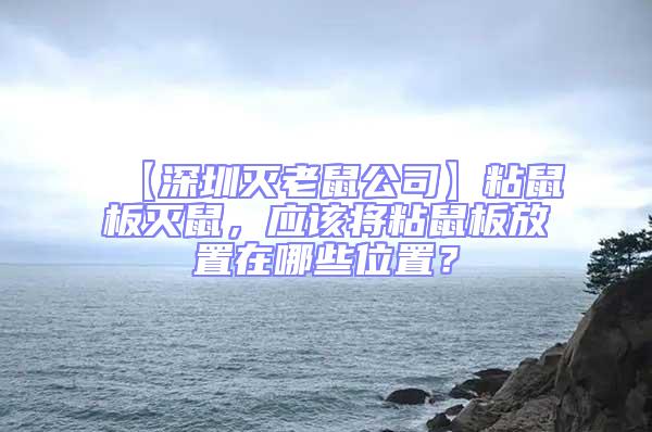 【深圳滅老鼠公司】粘鼠板滅鼠,應該將粘鼠板放置在哪些位置?