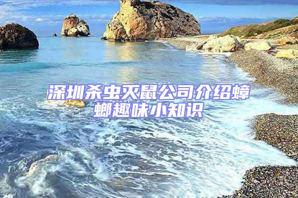 深圳殺蟲滅鼠公司介紹蟑螂趣味小知識