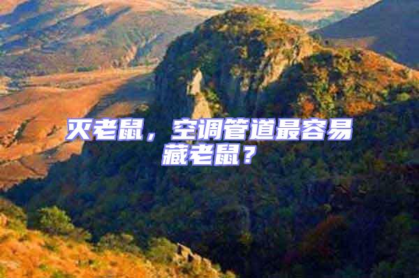 滅老鼠,空調(diào)管道最容易藏老鼠?