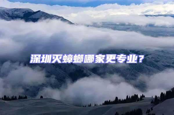 深圳滅蟑螂哪家更專業?