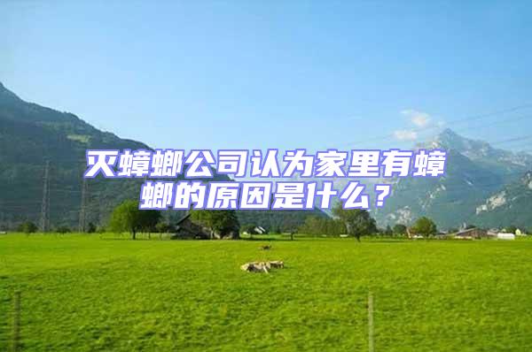 滅蟑螂公司認為家里有蟑螂的原因是什么?