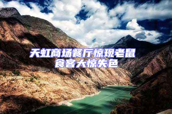 天虹商場(chǎng)餐廳驚現(xiàn)老鼠 食客大驚失色