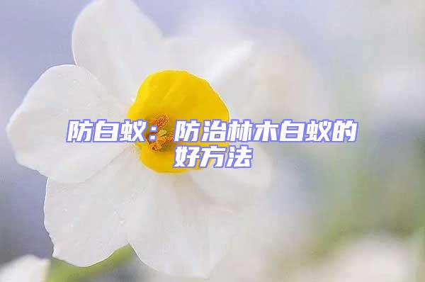 防白蟻：防治林木白蟻的好方法