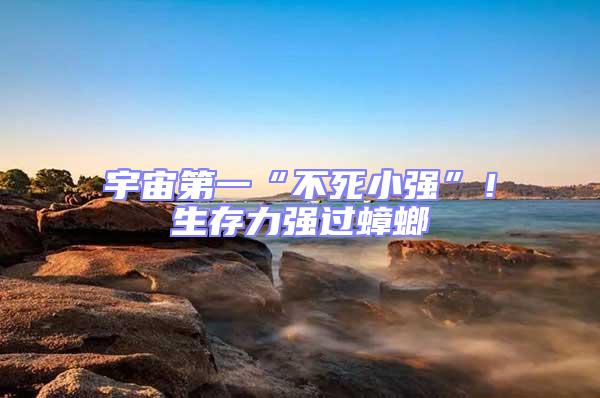 宇宙第一“不死小強”!生存力強過蟑螂