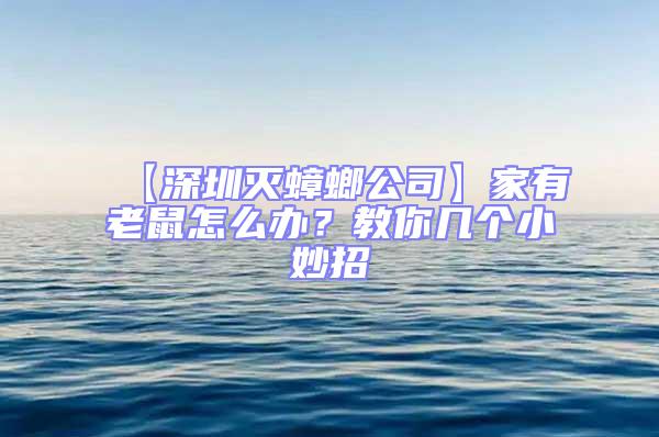 【深圳滅蟑螂公司】家有老鼠怎么辦?教你幾個小妙招
