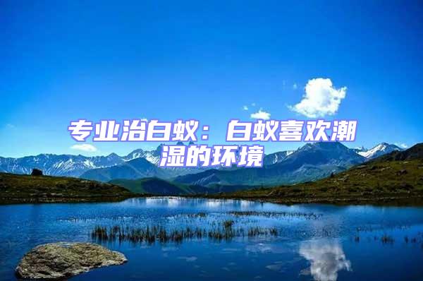 專業(yè)治白蟻：白蟻喜歡潮濕的環(huán)境