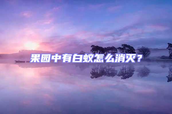 果園中有白蟻怎么消滅?
