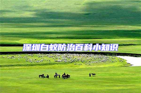 深圳白蟻防治百科小知識