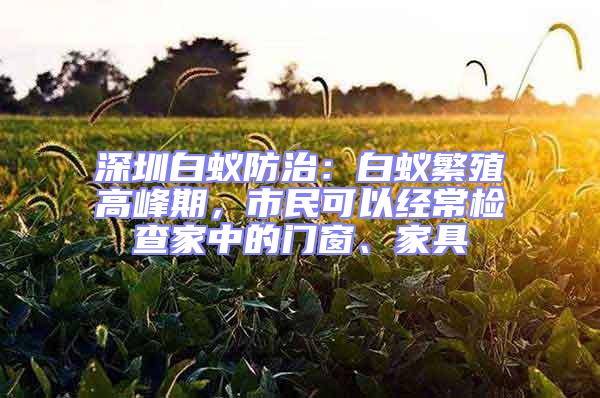 深圳白蟻防治：白蟻繁殖高峰期，市民可以經(jīng)常檢查家中的門窗、家具